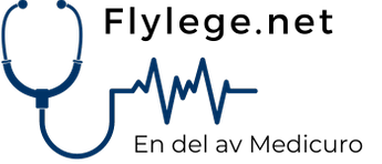 Flylege.net logo